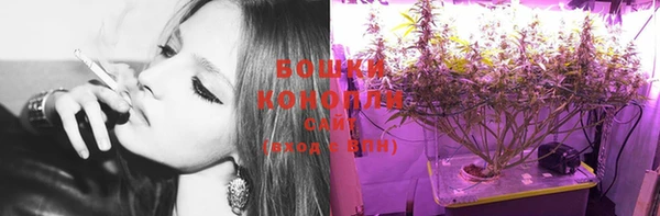 шишки Абаза