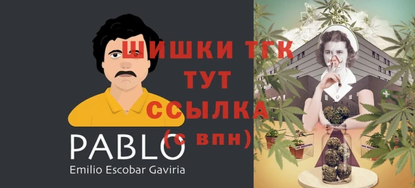 ПСИЛОЦИБИНОВЫЕ ГРИБЫ Абдулино