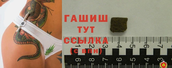 шишки Абаза