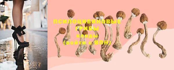шишки Абаза