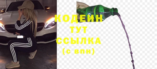 шишки Абаза
