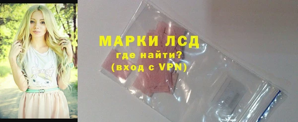 шишки Абаза