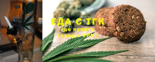 шишки Абаза