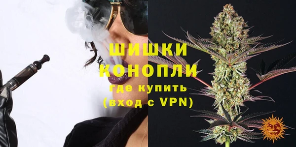 шишки Абаза