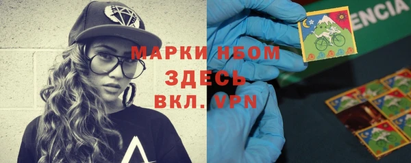 шишки Абаза